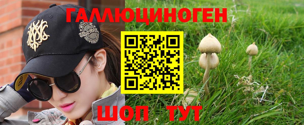 Галлюциногенные грибы ЛСД  Вход с VPN  Галлюциногенные грибы ЛСД  Димитровград 